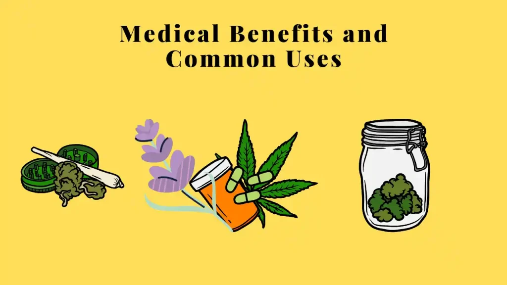 buy cannabis seeds online