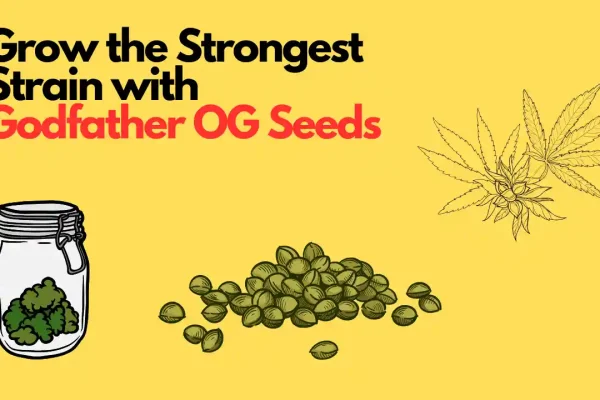 godfather og seeds